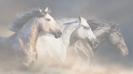 The Year of the Fire Horse: Galloping Boldly Into Chinese New Year 2026