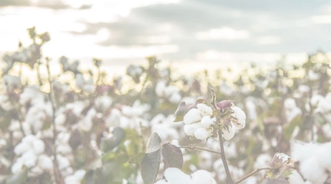 Clothing With Intention + Heart