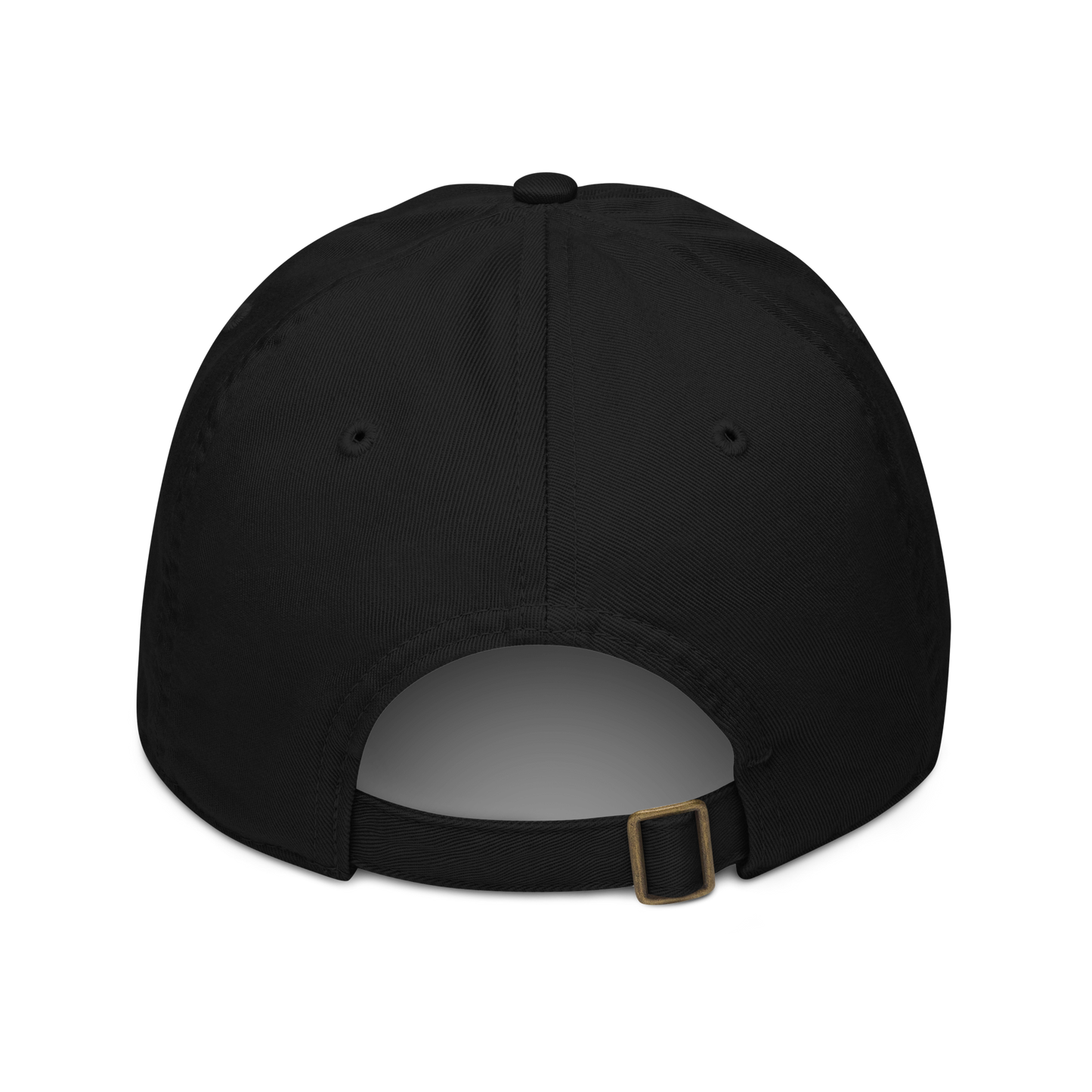 The back of a black cap showing adjustable strap