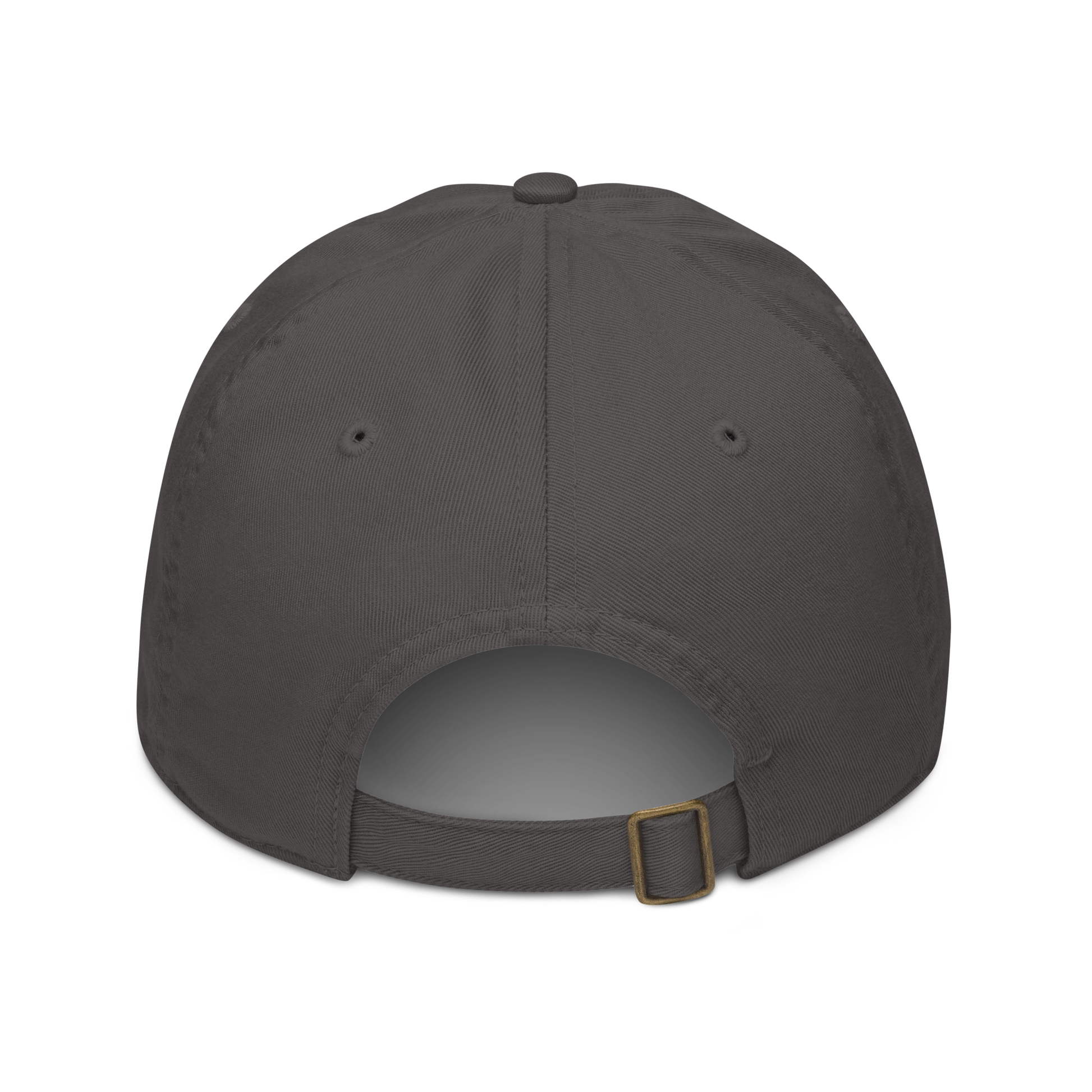 Back of a dark gray cap showing an adjustable strap